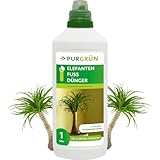 Purgrün® Elefantenfuß-Dünger | Spurennährstoffe für gesundes Wachstum | Extra Kalium fördert die Widerstandskraft | Ergiebiges Konzentrat für 200 Liter Gießwasser | Premium-Flüssigdünger | 1 Liter