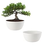 ECOMACETAS FLOWERPOT STORE Bonsai-Blumentopf, Pflanzgefäß, für Bonsais, Kakteen, Sukkulenten, rund, aus Kunststoff (2, 20 cm)