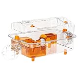 Hamsterkäfig – Hamsterhaus | Hamsterkäfige Glastank, niedliche klare Hamsterkäfige, vollständig transparente Beobachtungskäfige, dekorativer klarer Lebensraum mit Spender und Rad zum Ausruhen von