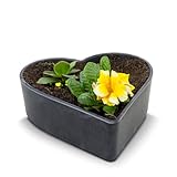 matches21 wetterfeste Pflanzschale Herz für draußen - große Dekoschale in schwarz marmoriert als Blumen-Schale - Garten-Deko Schale in 24 cm für Blumen oder Friedhof Grabschale als Grab-Schmuck