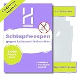Heimgeist Schlupfwespen gegen Lebensmittelmotten - 60 Karten auf 3 Lieferungen (jeweils 3 Wochen Abstand) à 20 Karten