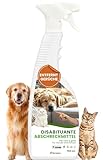 Dermazoo Katzenabwehrspray & Hundeschreck 750ml, Anti-Urin-Spray für Hunde & Katze, Katzenabwehr für Garten und Wohnung, Anti Kratz Spray Katzen, Fernhaltespray Möbel & Outdoor Katzenschreck