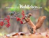 Vadim Trunov: Märchenhaftes Waldleben Posterkalender 2026: Naturkalender 2026 gestaltet mit Bildern des Naturfotografen Vadim Trunov. Fotokalender 2026 im Querformat. 44 x 34 cm.