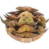 Wassernuss samen garten ziergras wasserpflanzen samen steingartenpflanzen hydrokultur pflanzen winterhart draußen, teich aussaat kräutersamen, bonsai zimmerpflanzen Bodendecker 50pcs