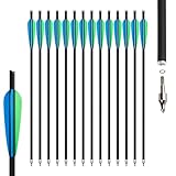 NorthSpoor 14-Stück 20-Zoll-Armbrustpfeile, Jagd-Carbonpfeile für Armbrust-Zielübungen im Freien