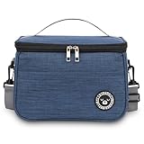 BALIGO Kühltasche Klein 6.4L, Lunchbox Tasche, Lunchtasche Isoliert, Faltbar Kleine Kühltasche, Lunchbag, Lunch Tasche, Tragbar Lunchbox Tasche Arbeit Reisen Büro Picknick