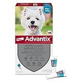 Elanco ADVANTIX Spot-On für kleine Hunde von 4 bis 10 kg gegen Zecken, Sandmücken, Stechmücken, Stechfliegen und Flöhe: Wirkung bis zu 4 Wochen, 4 Pipetten-Packung