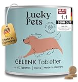 Gelenktabletten Hund 200 Tabletten Hochdosiert mit Grünlippmuschel I Teufelskralle, MSM, Glucosamin, Weihrauch I Deutscher Hersteller I reicht bis zu 12 Monate I hohe Akzeptanz, TESTSIEGER
