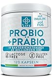 Probiotika zur Darmsanierung mit Präbiotika 240 Kapseln PiuLife® 40 Milliarden CFU darmkur entgiftung, Probiotische Milchfermente aus 20 Stämmen, Darm-Probiotika mit Inulin und FOS, Bauchblähung,