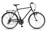 WYNN Trekkingrad 28 Zoll TRK1.0 schwarz Rahmenhöhe 58 cm Herren 21 Gänge V-Brake