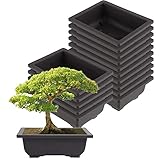 ZEONHEI 15 Stück Groß Bonsai Trainingstöpfe, 22,5x16,5x7,5cm Pflanzen Anbau Kunststoff Bonsai Topf, Schale Pflanzgefäß Blumentopf für Garten Hof Wohnen Zimmer BalkonTopfpflanzen