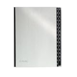 Herlitz 1989128 Pultordner 1-31 silber
