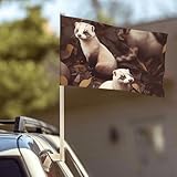 Hairy Frettchen Autofahnen, 30,5 x 45,7 cm, doppelseitig, lichtbeständig, für Autofenster, doppelt genäht, Mini-Handflagge, Banner für die meisten Fahrzeugfenster