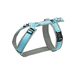 Anny-X Brustgeschirr Fun | Farbe Grau-Eisblau | Hundegeschirr in Größe S kurz (Brustumfang 52-64 cm) (Grau-Eisblau, S kurz)