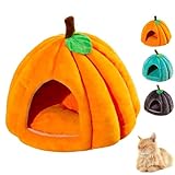 Generisch Kürbis-katzenbett, Süßes Katzenhöhlenzelt In Kürbisform mit Abnehmbarem Kissen, Weiches, Kuscheliges Haustiersofa für Halloween, Warme Katzen- und Hundebetten für Haustiere(Orange,M)