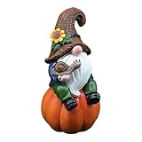 Herbst-Zwerge für den Außenbereich – Gartenzwerge aus Kunstharz, die auf Kürbissen sitzen, Herbst- -Figuren, handgefertigte dekorative Statuen mit Hellen Farben für, Rasen, Terrasse