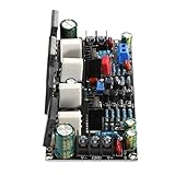 NONGYU Monophone 200W Verstärkerplatine Leistungsstarker Ausgang mit A1943 C5200 Transistoren für professionelle Hörsysteme Hörverstärker Leiterplatte