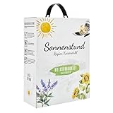 Sonnenstund Weissburgunder halbtrocken 3 Liter Wein-Box, feinfruchtiger Weißwein mit Aromen von Apfel, Zitrus und Nuss, Weißer Burgunder QbA vom Kaiserstuhl (1 x 3,0 l Bag-in-Box)
