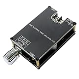Orolotay Neues -1001B Mono 100W Bluetooth 5.1 Audio-Leistungsverstärkermodul DC7-24V Leistungsverstärkerchip TPA3116 mit