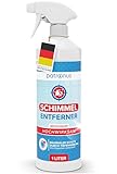 Patronus Schimmel-Entferner mit starker Tiefenwirkung [1000 ml] für Wand, Bad, Tapete & mehr - Effektives Anti Schimmel Spray mit Aktivchlor zum Schimmel entfernen Wand, Fugenreiniger Bad & Fliesen