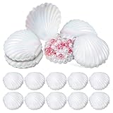 JECOMPRIS Muschelschmuck Aufbewahrungshalter Muschelförmiges Etui mit Sicherem Verschluss für Perlen und Kleine Schmuckstücke für Alltag und Geschenkverpackung 95X8X35Cm