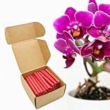 floraline® | 150x Orchideen - Düngestäbchen | Orchideendünger für bis zu 100 Tage prächtige Blumen mit Wachstum und gesunden Blüten pro Stäbchen | Schonende Anwendung für ihre Orchidee