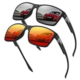 Rayruling 2 Paar Sonnenbrille Herren Polarisierte Damen, Sport Sunglasses Men Schwarz,Retro TR90 Ultraleicht Rahmen, UV400 HD Golf/Fahren/Angeln/Reisebrille/Outdoor-Sportarten Mode Sonnenbrillen