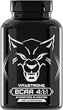 Verzweigtkettige Aminosäuren BCAA 4.1.1 Vitastrong | 100% reine L-Leucin, L-Isoleucin, L-Valin mit Vitamin B6 | Pre- und Post-Workout Ergänzung | Hergestellt in Italien