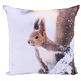CB Home & Style Outdoor Garten Kissen Wasserabweisend 45 x 45 cm Weihnachten Winter (Eichhörnchen)