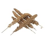 Sosoport Hirse Leckerli für Vögel 500g – Getrocknete Wellensittichhirse in Hülsenform für Finken Nymphensittiche Papageien und Unzertrennliche Natürlicher Snack von Futtersuche