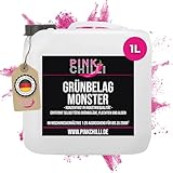 Pink Chilli 1l Grünbelagmonster - Grünbelagentferner ohne Schrubben - Industrie-Konzentrat Reiniger chlor- und säurefrei - Grünbelag-Reiniger mit Langzeitwirkung - vielseitiger Steinbelagentferner