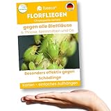 Futeco® – Florfliegenlarven gegen Blattläuse, Spinnmilben, Thripse & Co. - Karten zum einfachen Aufhängen - 1 Karte für 1-2 Pflanzen - starke Wirkung bei Gemüse-, Cannab.- & Zierpflanzen