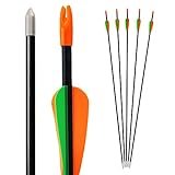 Bogenkönig Pfeile für Bogenschießen 5er Set aus Fiberglas mit Spitze Metal Kinder Bogen 28 Zoll (Rund Spitze)