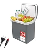 TZS First Austria - Kühlbox 32L elektrisch 12V 230V Anschluss für Auto & Steckdose - Thermoelektrische Cool Box kühlt & wärmt - Mini Kühlschrank mit Griff - Für Camping, Festivals, Reisen - Grau