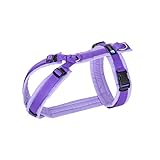 Anny-X Brustgeschirr Fun | Farbe Lavendel | Hundegeschirr in Größe XL kurz (Brustumfang 78-96 cm) (Lavendel, XL kurz)