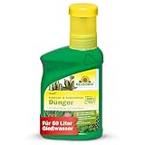 Neudorff Azet Kakteen- & SukkulentenDünger - 100% natürlicher Bio Dünger für kräftig grüne Kakteen mit beeindruckenden Blüten, 250 ml