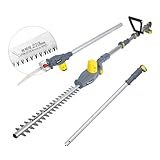 FANZTOOL 2in1 Akku Teleskop Heckenschere Hochentaster, Säbelsäge mit 20V/2Ah Li-Ion-Akku, Schnellladegerät, 45 cm Schwertlänge,Teleskopstiel bis 3,2 M. Ultra-leichtgewicht-Säge, Designed in JAPAN