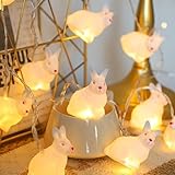 CutitiUU Oster-LED-Lichterkette aus Vinyl, weiß, 2 m, 10 Lichter mit Batteriebox, Oster-Lichterkette, 2 m, 10 LEDs, Osterdekoration, Innenbereich, Frühlingsmotiv