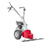 AL-KO Balkenmäher BM 875 IV, 2.7 kW Motorleistung, 87 cm Arbeitsbreite, für Flächen bis 3000 m², schwingungsgedämpfter und höhenverstellbarer Führungsholm