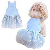 Tutu-Kleid für Hunde und Katzen, Sommer, Tüll, Slip-Spitzenkleid, niedlicher Welpe, Glitzerstern, Rock, Haustier-Partykleidung für kleine, mittelgroße Katzen, Hunde (Blau, Größe M)