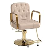 Anunweldo 360-Grad-Drehung Friseurstuhl, Kippbarer Hydraulisch Friseurstuhl für Schönheitssalon Friseursalon (Grau)
