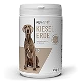ReaVET Kieselerde Pulver Hund 400g – Hochdosiert zur Unterstützung für Haut und Fell I Barf Zusatz, Silizium, Heilerde für Hunde, Unterstützung der Hautfunktion