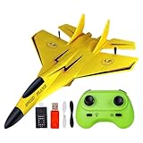 RC-Flugzeugspielzeug, ferngesteuertes Flugzeugspielzeug | RC 2,4 GHz Modell Spielzeug Kampfflugzeug Spielzeug | Flugzeugmodell mit leichtem Schaumstoff, Flugzeugspielzeug für Anfänger und Kinder