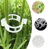 Tyqour 100 Stück Pflanzenclips Tomaten Rankhilfe Clip Pflanzenklammern Tomatenclips Kunststoff Tomatenklammern für Kletterpflanzen Pflanzen Clips Pflanzenstützclip für Kletterpflanzen Blumen Garten