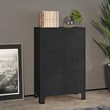 RONGQI Aktenschrank, Metallschrank, Werkstattschrank, Werkzeugschrank, Büroschrank, Lagerschrank, Garagenschrank, Stahlschrank, Industrie-Stil Schwarz 75x40x115 cm Metall