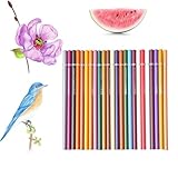 Buntstifte, bruchfest, für Kinder, Jugendliche, Erwachsene, Schule, Handwerk, professionelle Illustration, Journaling, 24 Stück