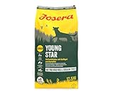 JOSERA YoungStar (1 x 12,5 kg) | Junior | Premium Trockenfutter für wachsende Hunde | Geflügel & Kartoffel | getreidefrei | Welpenfutter für mittlere und große Rassen | Hundefutter | 1er Pack
