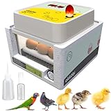 Okköbi OBI-12 Brutautomat für Hühner, Enten & andere Vögel + NEU 2024 + Brutautomat vollautomatisch + Temperaturkontrolle + Feuchtigkeitsanzeige + Integrierte Eierschale + 5 JAHRE SCHUTZ