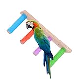 Qurygin Sittichleiter - Kletterleiter aus Holz | Multifunktionale Krallenschärfwerkzeuge, Kistenzubehör für Langeweile und Unterhaltung