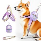MFYOUPK Hundegeschirr Und Gurt Set | Verstellbares Design - Sicherheitsausrüstung Tierzubehör Mit Tasche Für Stadt Park Camping Wandern